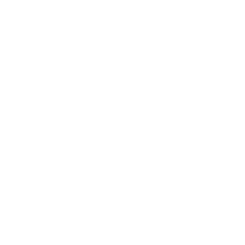 Voyelstore